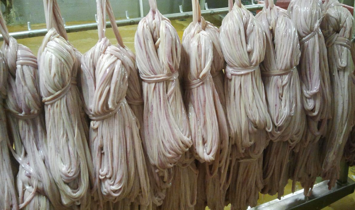So finden Sie die besten Schafsdärme für Fleisch
