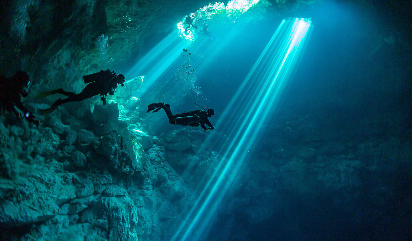 Dive Center Mexiko: Entdecke Mantas, Schildkröten und bunte Riffe